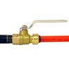 Tectite By Apollo 1/2 in. Brass Push-to-Connect x Female Pipe Thread Ball Valve FSBBV12F